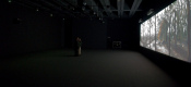 galleries/MTYDayNine/MTY-DayNine-12.jpg