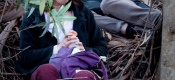 galleries/d33/d33-09.jpg