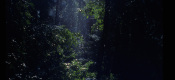 galleries/wildexpo/rls-expo-12.jpg
