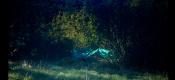 galleries/wildexpo/rls-expo-3.jpg